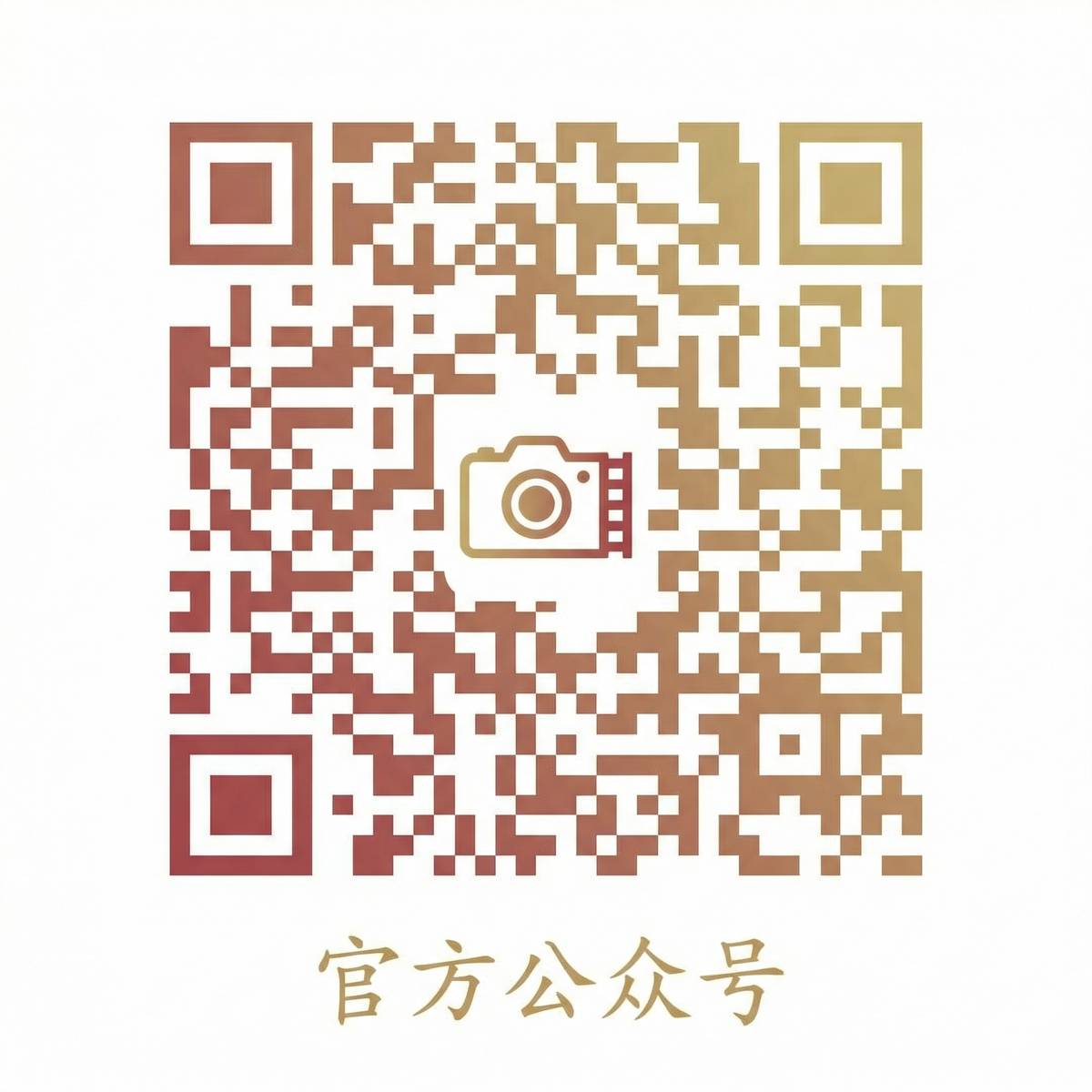 番茄视频公众号